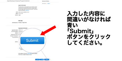 入力した内容に間違いがなければ青い｢Submit｣ボタンをクリックしてください。